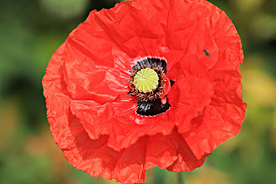 政府重拳出擊，十八款軟件被禁，筑牢網絡安全防線，守護個人信息安全